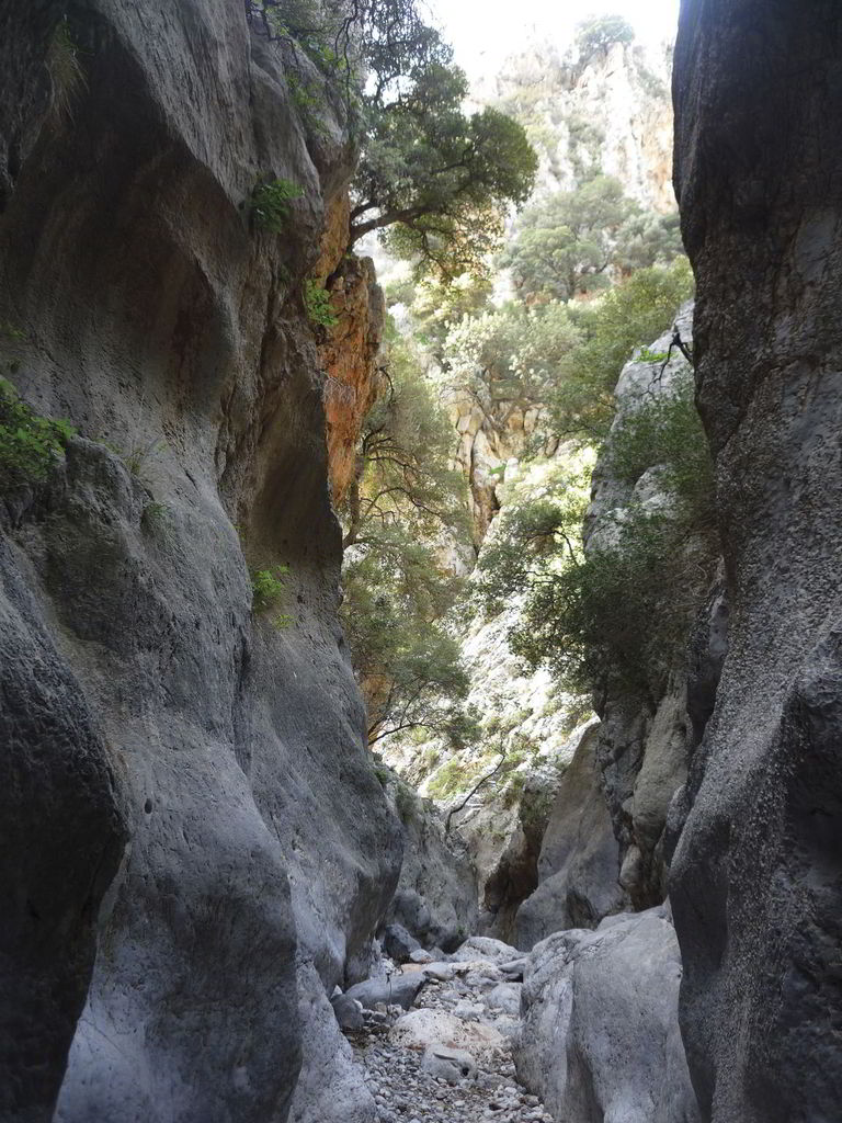 The Gorge of Kritsa starts next to the homonymous village and ends in the village “Tapes”. It’s length is 13km and in some places the width reaches just one and a half meter.