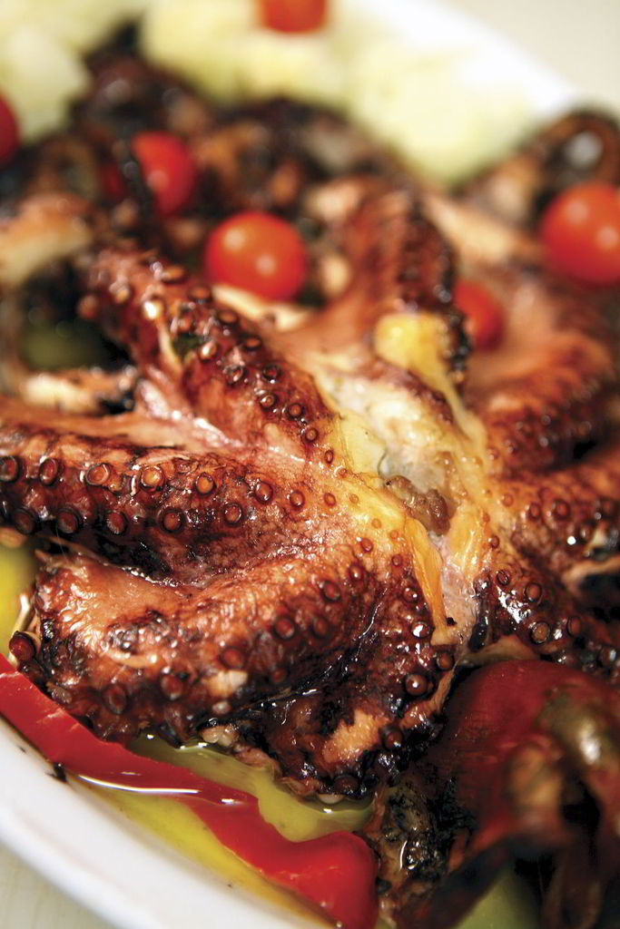 Octopus baked in red wine