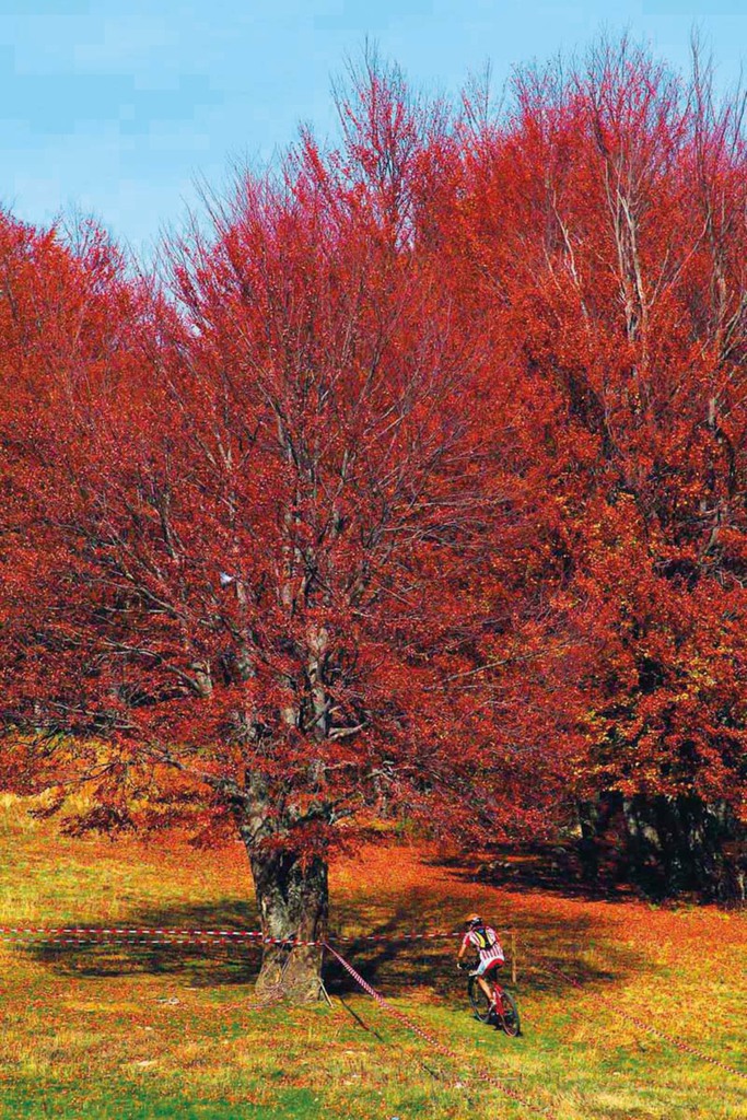 Alternative activities. Mountain biking in the autumnal landscape of the Pierian Mountains in the region of Imathia.